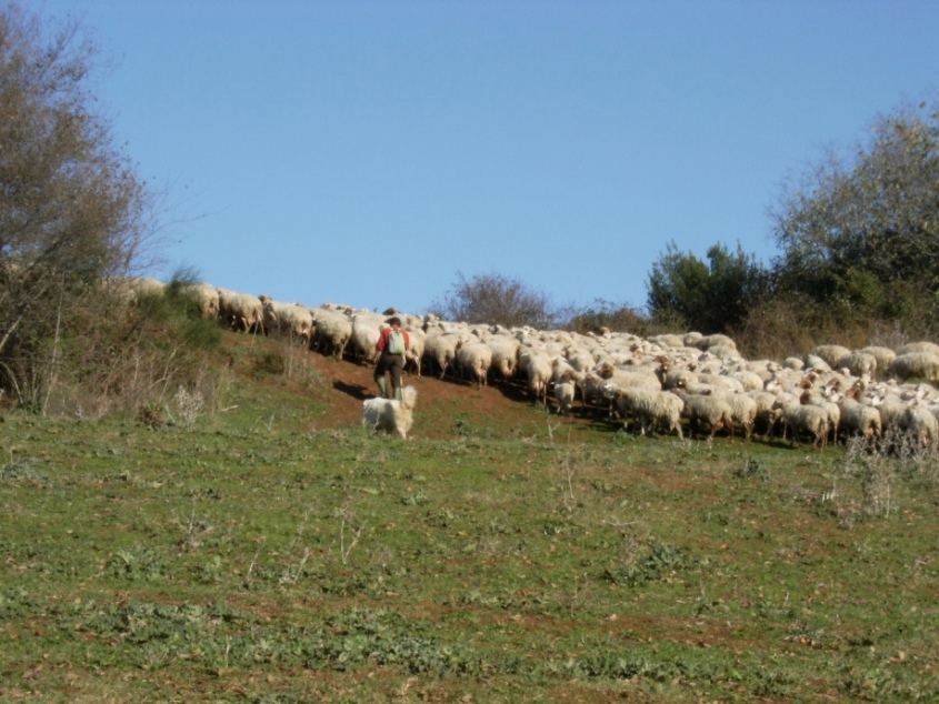 sapori d''antico